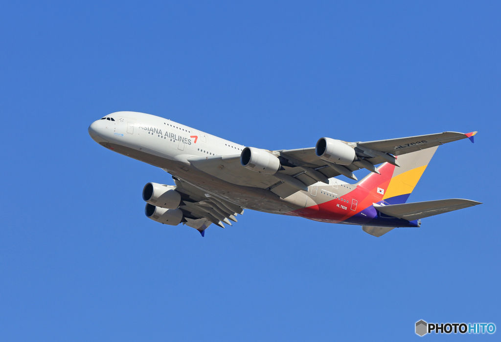 「青が大好き」 Asiana A380-841 HL7626 Takeoff