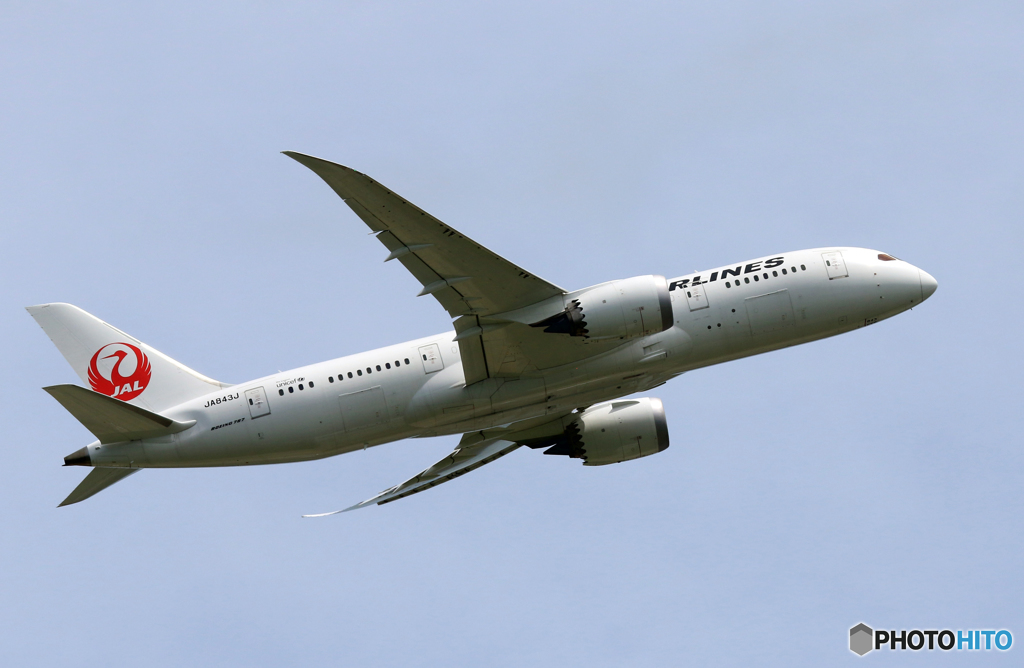 ☀「青い空」が一番 JAL 787-8 JA843J