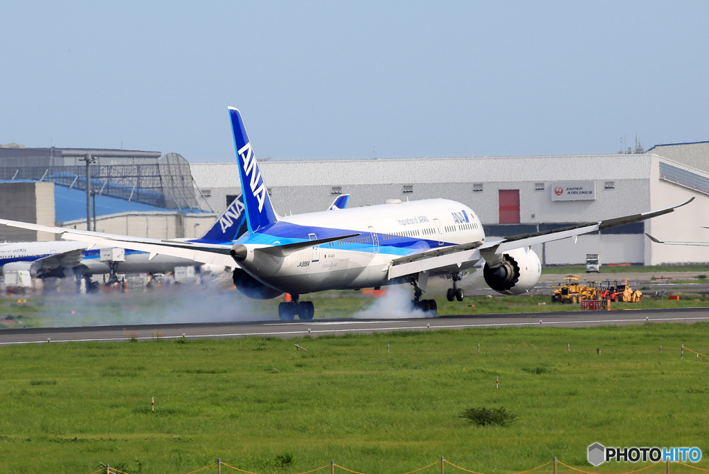 「すかい」 ANA 787-9 JA896A 着陸