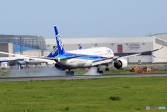 「すかい」 ANA 787-9 JA896A 着陸