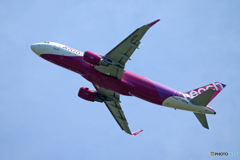 「青い日」Peach A320-214 JA07VA  Takeoff