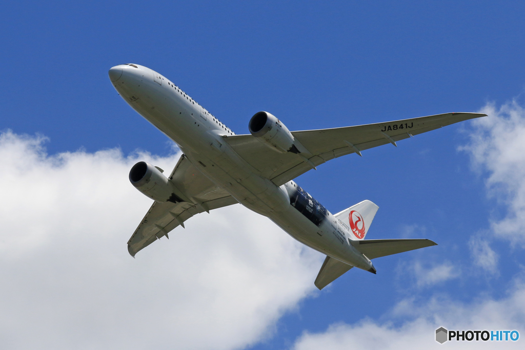 「真青の空」 JAL 「勝色」787-8 JA841J Takeoff