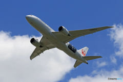 「真青の空」 JAL 「勝色」787-8 JA841J Takeoff