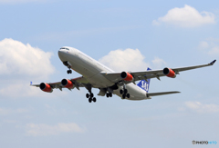 「すかい」 SAS A340-313 OY-KBD 飛行