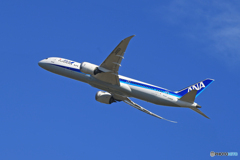 「良い天気」ANA 787-9  Takeoff JA892A