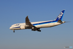  「晴れ」 ANA 787-9 JA892A 着陸します