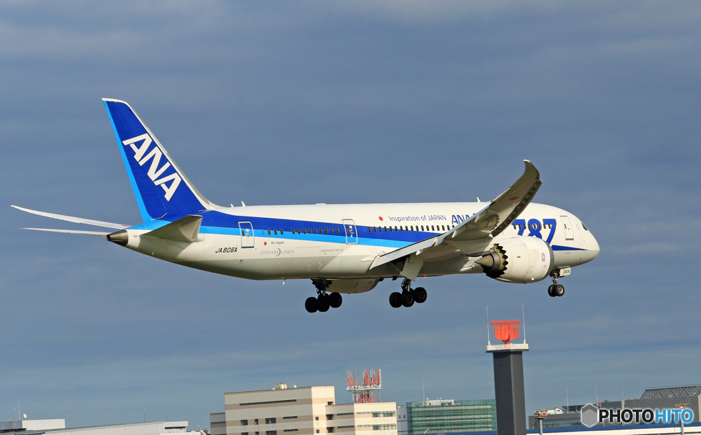 「良い天気」 ANA 787-8 JA806A 到着