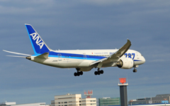 「良い天気」 ANA 787-8 JA806A 到着