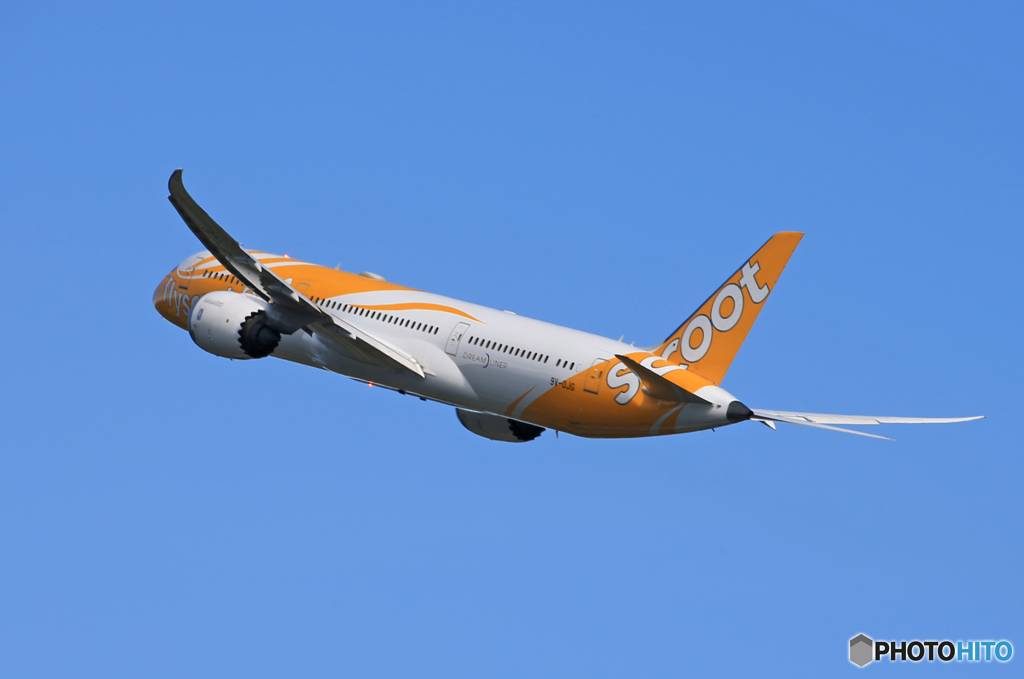  「晴れ」Scoot 787-9 9V-OJG 離陸です