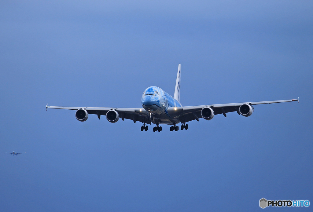 「蒼空」 Flying Honu A380-841 到着