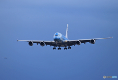 「蒼空」 Flying Honu A380-841 到着