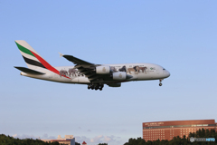  「晴れ」エミレーツ特別動物愛護機 A380 通過