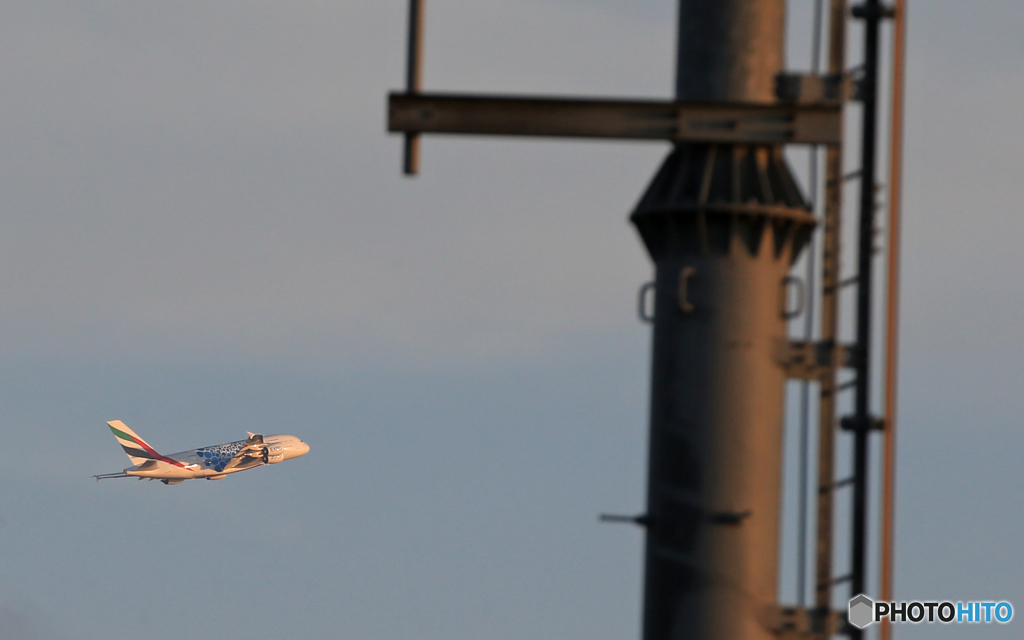 「ブルー」 EMIRATES特別塗装(5) タッチアンド・ゴー