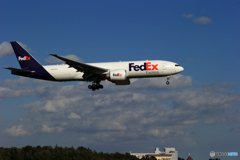 「青が好き」 FedEx 777-F N876FD  着陸します