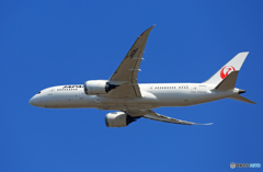 「良い空～」 JAL 787-8 JA836J 出発です