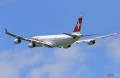 「真青の空」 SWISS A340-313 HB-JMC 飛ぶ