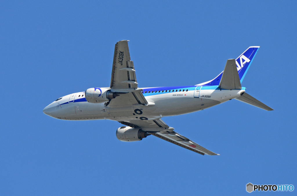 「すかい」 ANA 737-500 JA306K 飛行