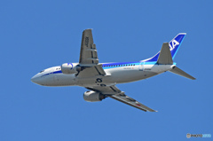 「すかい」 ANA 737-500 JA306K 飛行