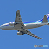 「すかい」 ANA 737-500 JA306K 飛行