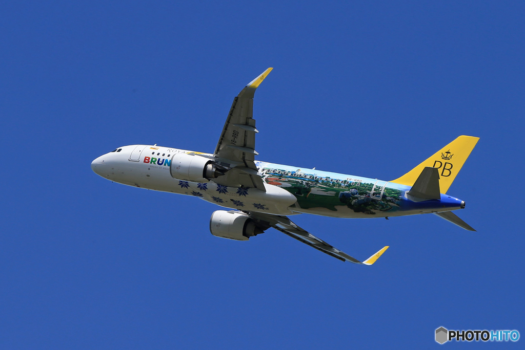 「群青色」ROYAL BRUNEI A320-251 スペマ機 飛ぶ