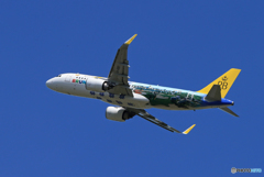「群青色」ROYAL BRUNEI A320-251 スペマ機 飛ぶ
