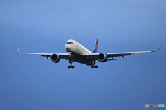 「青色」DELTA A350-941 N507DN  Landing