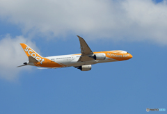 「そらー」 scoot 787-9 9V-OJD 飛行