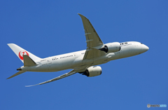 「青い空」が一番 JAL 787-8 JA845J離陸