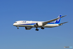 「SKY」　ANA 787-9 JA892A 着地前