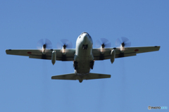 「空色」トンガに派遣された輸送機　C-130H