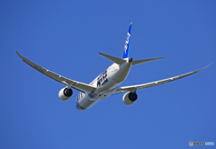 「すかい」 ANA STAR WARS 787-8 飛び立ち