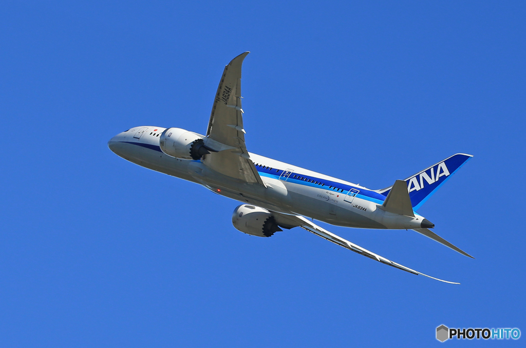 「令和」ANA 787-8 JA834A  Takeoff