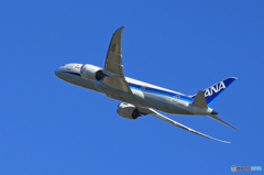「令和」ANA 787-8 JA834A  Takeoff