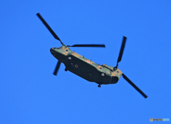☮休憩ﾀｲﾑ(743) 　C H - 4 7 J