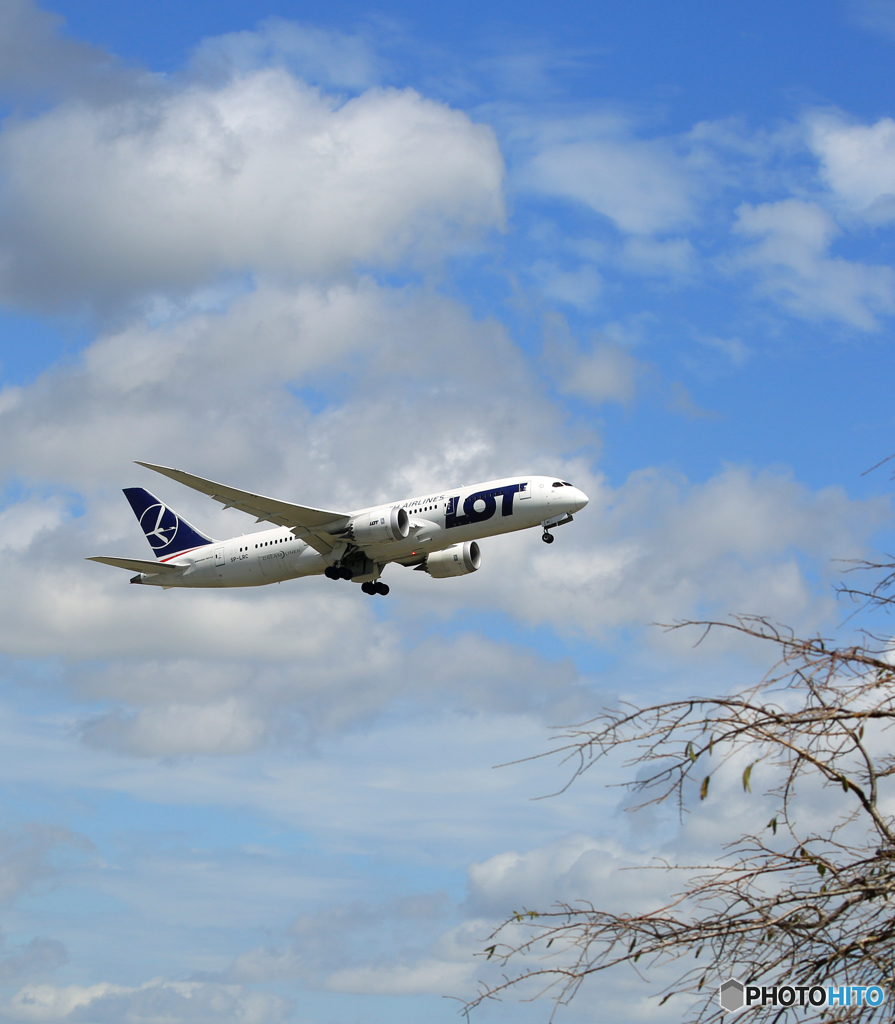 「SKY」 LOT 787-8 SP-LRC Takeoff