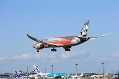 「青が好き」ETIHAD F-1  787-9 A6-BLV  着陸です