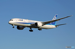 「青色」 ANA 787-9 JA872A 着陸します