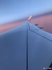 「COOL」エアバス  A350の 翼とその先（ウイングレット）