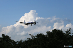 [青い空]　ANA 787-9 JA875A 到着