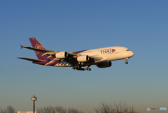 「青色が好き」 Thai A380-941 HS-TUF Landing 