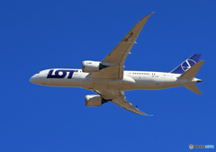 「群青」 LOTポーランド 787-8 SP-LRF 離陸