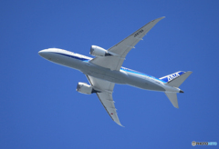 「晴れ」ANA 787-8 JA878A 飛行中