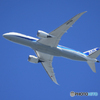 「晴れ」ANA 787-8 JA878A 飛行中