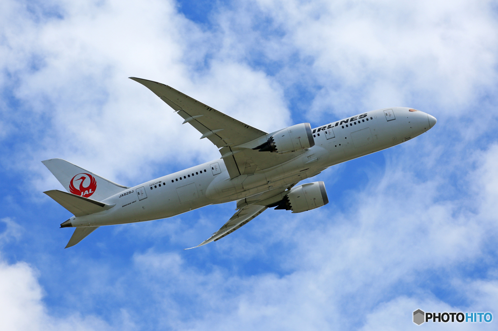 「あおぞら」 JAL 787-8 JA828J 出発