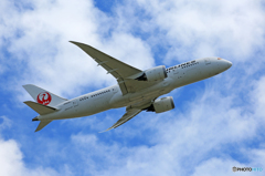 「あおぞら」 JAL 787-8 JA828J 出発
