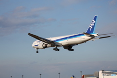 「青色」 ANA 777-381 JA790A 着陸します　