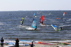 「青が大好き」あなた　　頑張って！