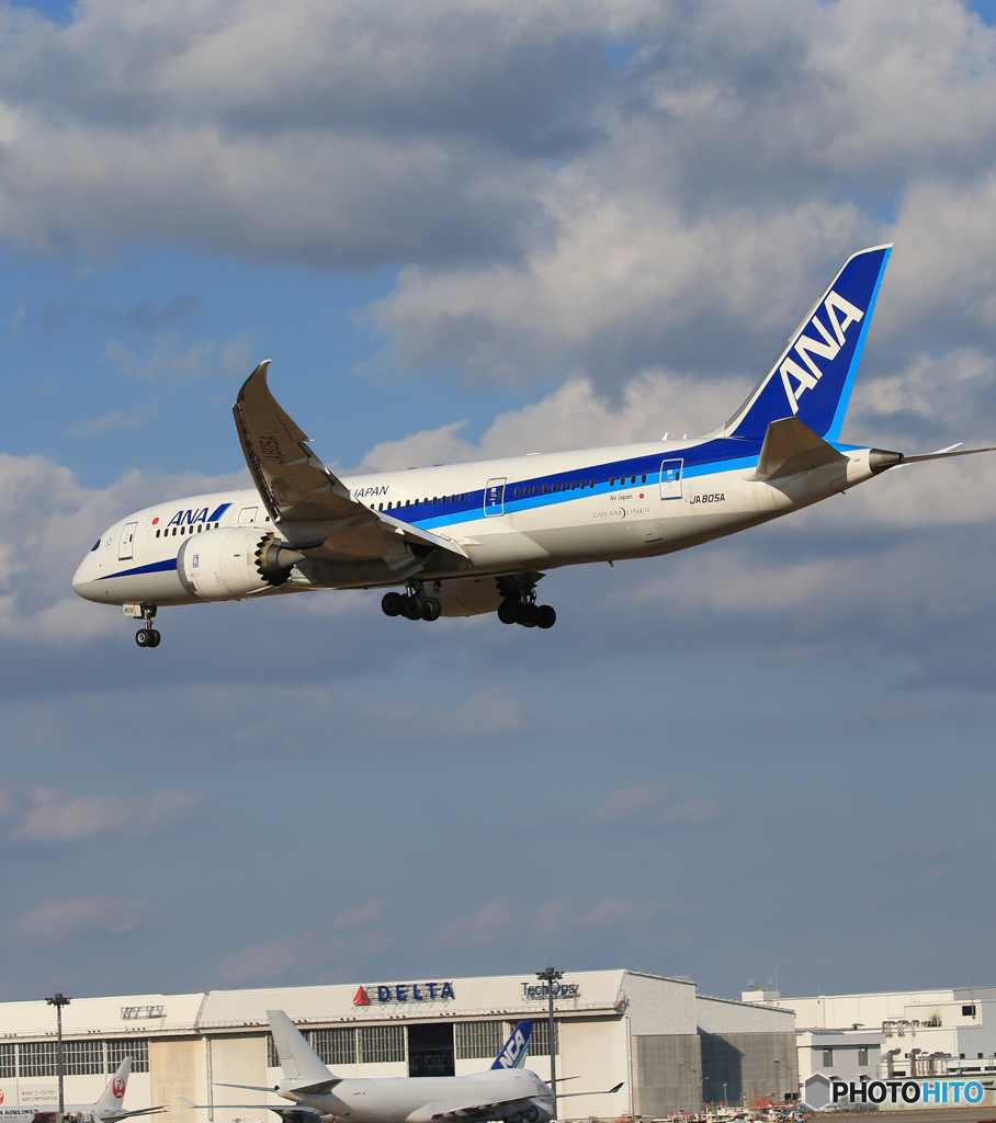 「良い空～」 ANA 787-8 JA805A Landing 