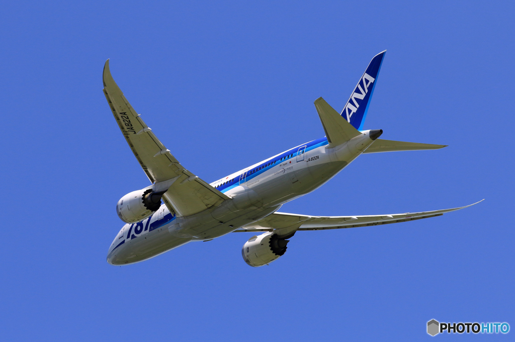 「真青の空」 ANA 787-8 JA822A 飛ぶ