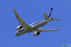 「真青の空」 ANA 787-8 JA822A 飛ぶ